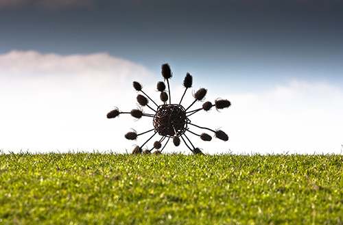 Spore