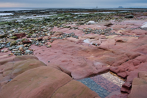 Rock Pool Pebble Bars