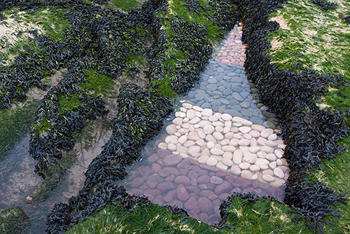 4 Colour Rock Pool Bars