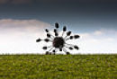 Release the Spore