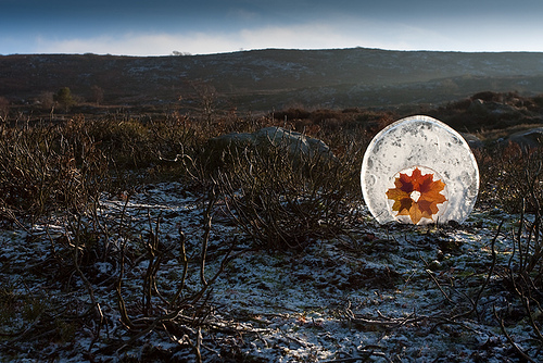 Maple Ice Sun Globe