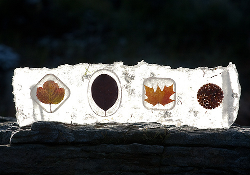 Ice Window