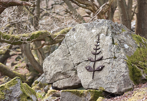 Seedling, Sapling, Rambling