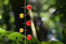 Follow the line of least resistance