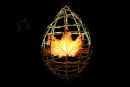 Leaf Lanterns