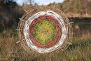 5 Colour Weave Wheel