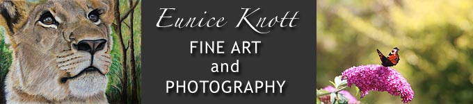 Eunice Knott Fine Art