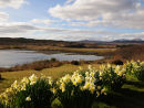 View to the Cuillins