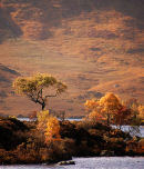 Autumn in Scotland