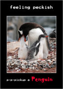 Pick-Up a Penguin