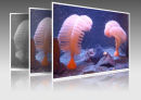 image for article