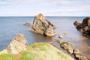 Bowfiddle Rock