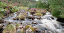 Aviemore Scottish Highlands