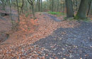 Autumnal Shot