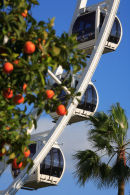 Ferris Wheel