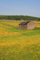 Bradwell