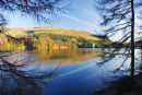 Derwent