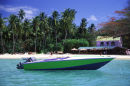 Caribbean, Grenada, Grand Anse Beach, Palm trees & boat