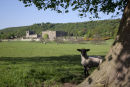 Chatsworth House