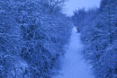 Path nr Pleasley