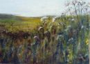 'The Hedgerow' by Ailsa Addicott