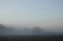 Bargaly mist #1