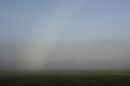 Bargaly mist #2