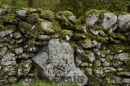 Dry stone wall study