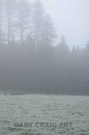 Foggy day over Cairnsmore#1