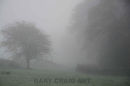 Foggy day over Cairnsmore#2