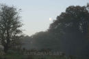 Moon study late afternoon