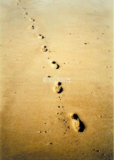 Footsteps in the Sand II - colour photograph