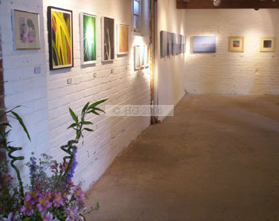 Lines in Nature 2006