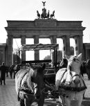 Berlin 03