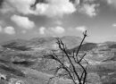 Petrified Forest, Lesbos, Greece