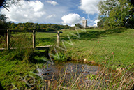A summers day