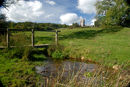A summers day