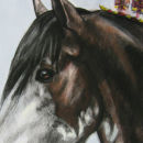 Clydesdale Head