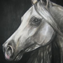 The Arabian