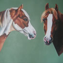 Performance Arabians
