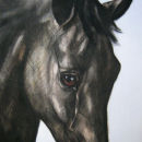 Stallion Head