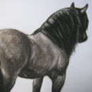 Study for Highland