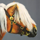 Palamino Shetland