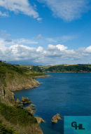 Dart Estuary