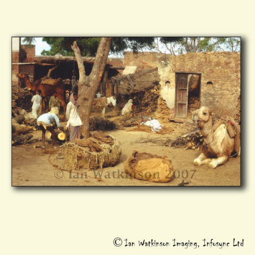 Camel Station