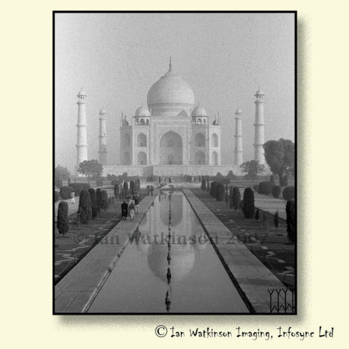 Morning Taj Mahal