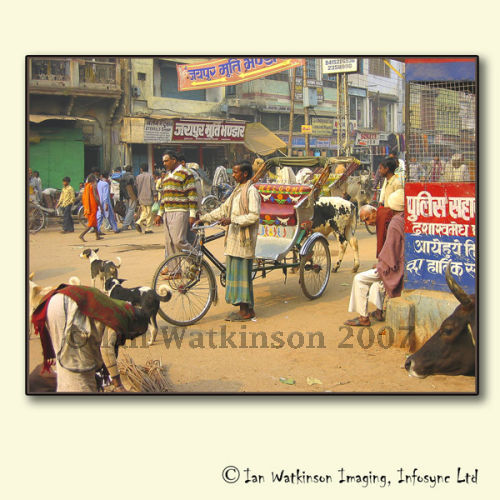 Timeless India