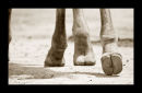 Stirring up the dust