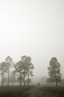 walking in New Norcia morning mist
