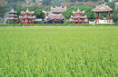 Baozang Temple, Tsaotuen